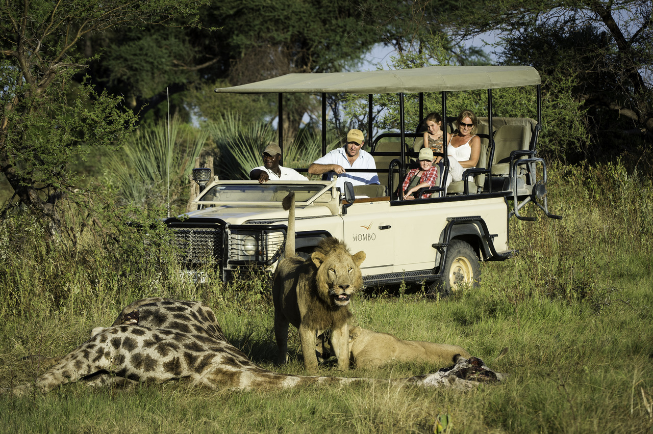 best month for africa safari