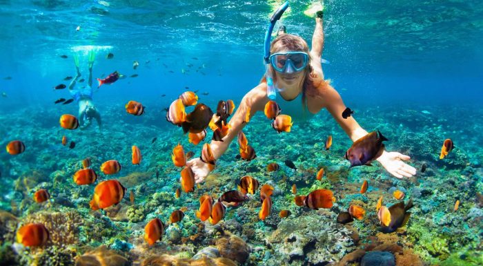 Snorkeling Tips