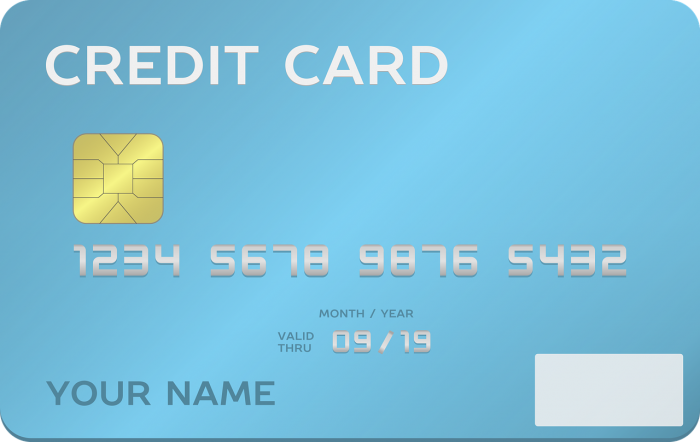 Travel Credit Card