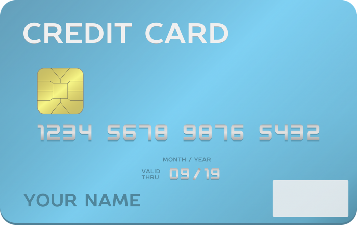 Travel Credit Card