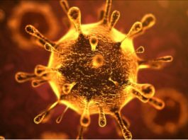Coronavirus Epidemic: Know the Symptoms, Diagnosis and Treatment