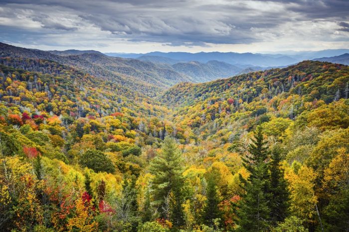 smoky mountains