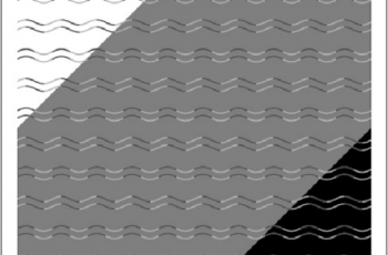 7 Optical Illusions That Will Shock You