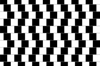 7 Optical Illusions That Will Shock You