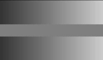 7 Optical Illusions That Will Shock You