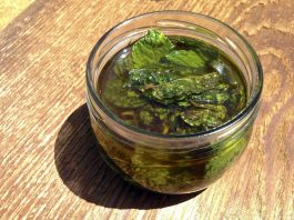 Peppermint Oil for Cold Sores – See How it Works