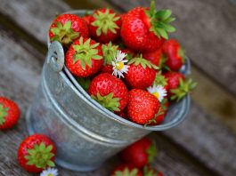 Check Out These Daily Wellness Tips to Incorporate