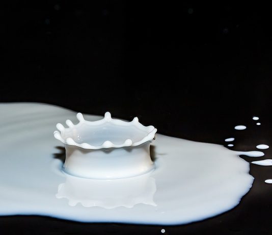 Bones and Calcium – Learn How They Relate