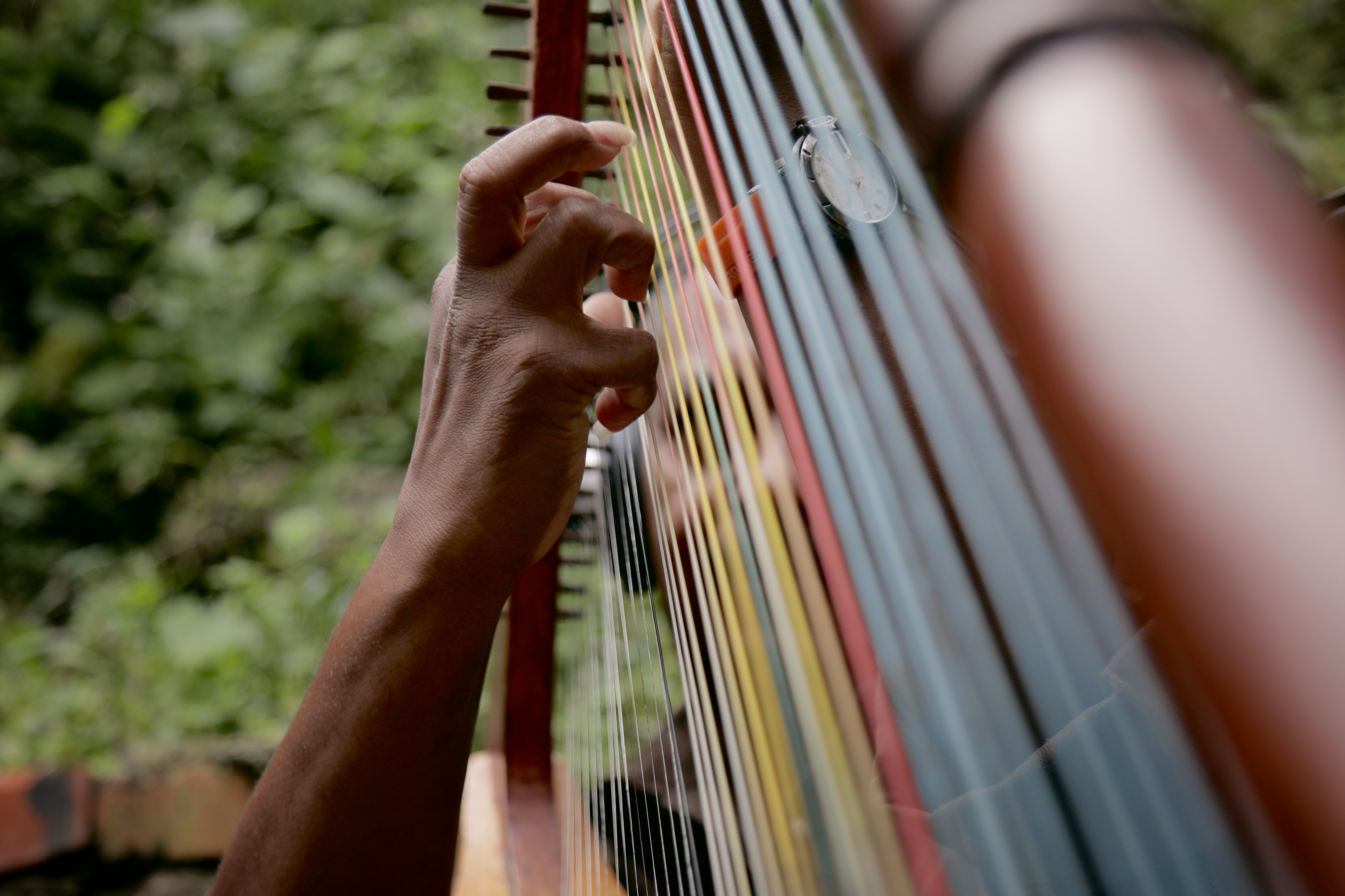 Learn to Play the Harp with These Apps