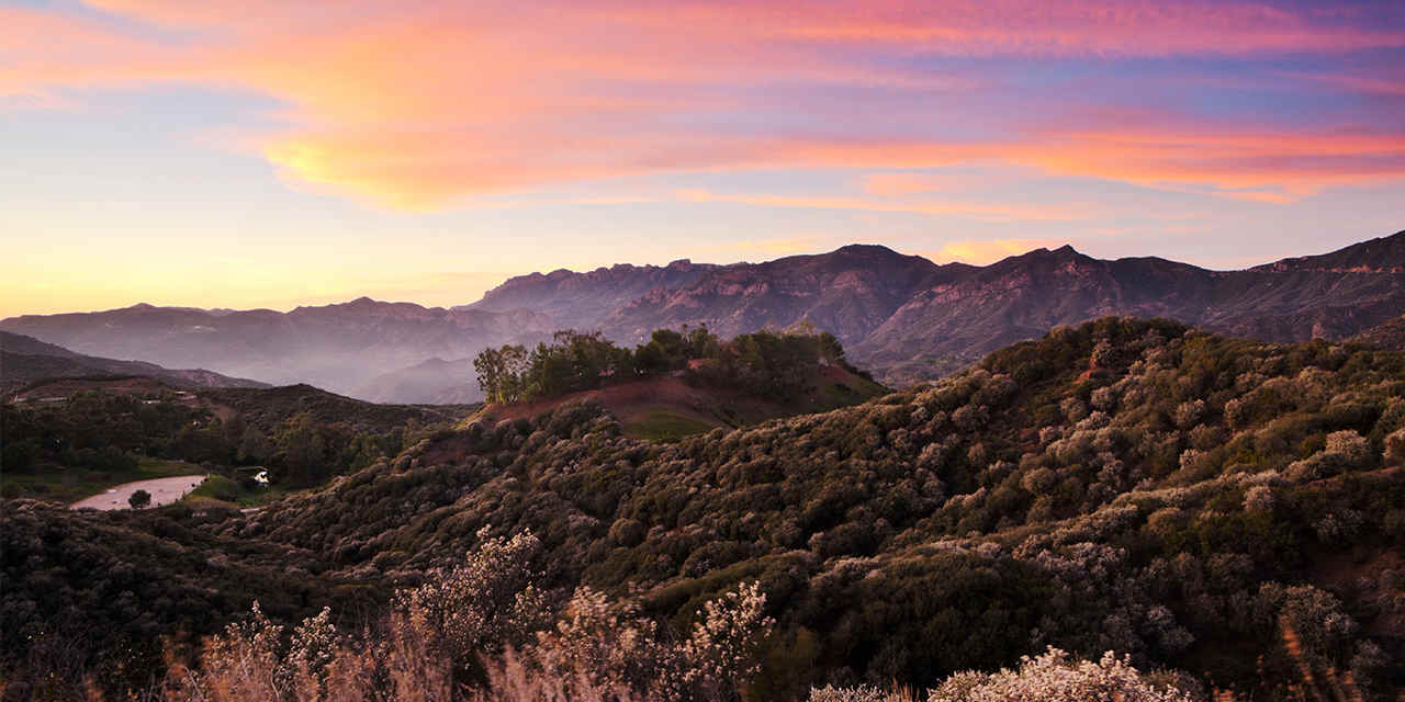 Discover the Coolest Things About the Pacific Coast Ranges - StoryV ...
