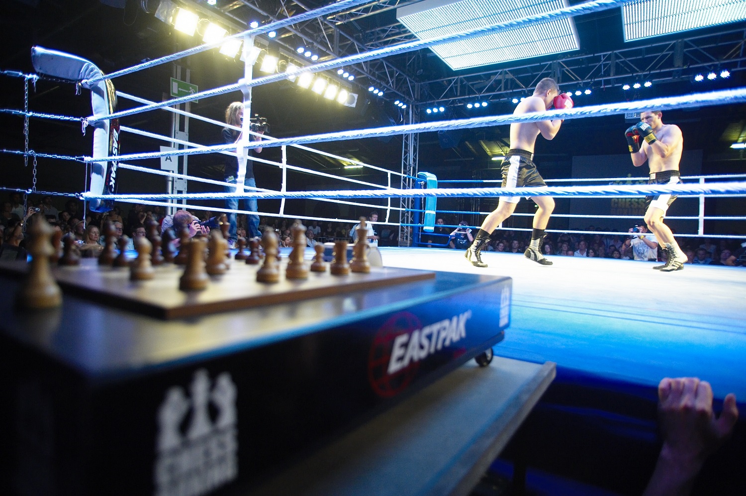 Learn About the Sport Chess Boxing