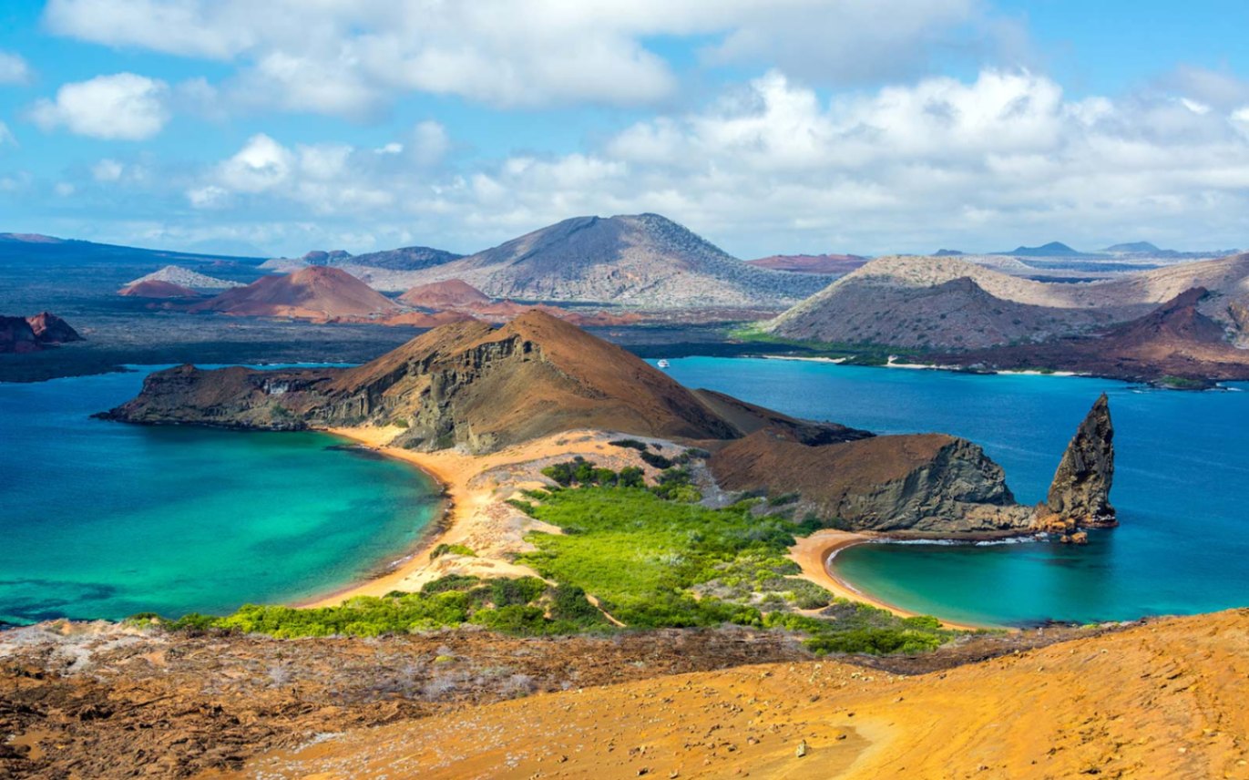 Check Out the Exciting Marine Life of the Galápagos Islands