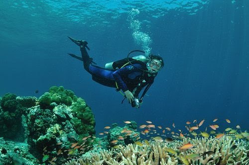 The Best Places to Scuba Dive Around the World