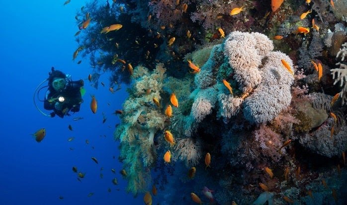 The Best Places to Scuba Dive Around the World