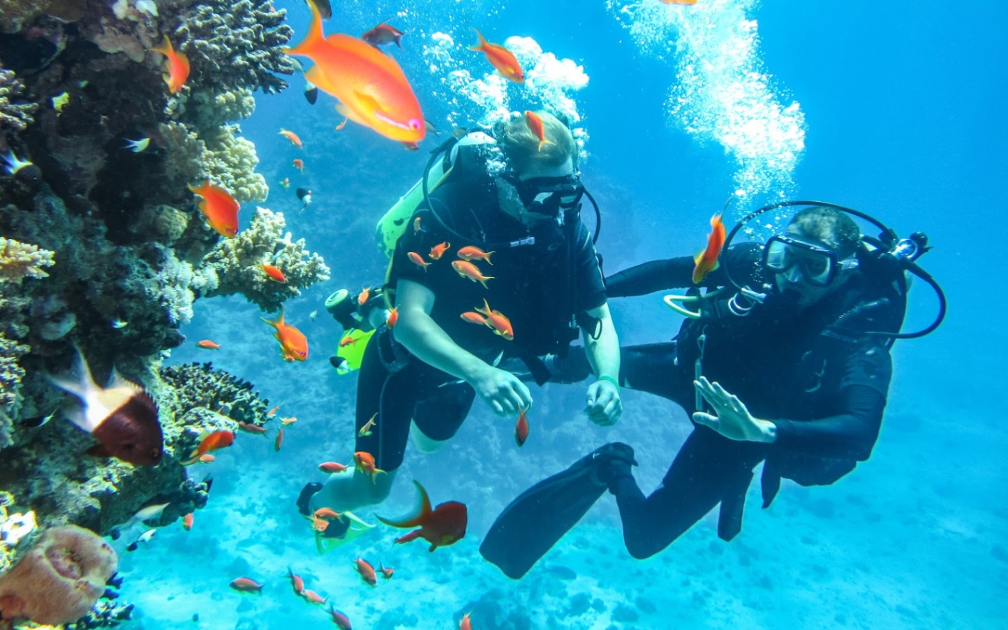 The Best Places to Scuba Dive Around the World