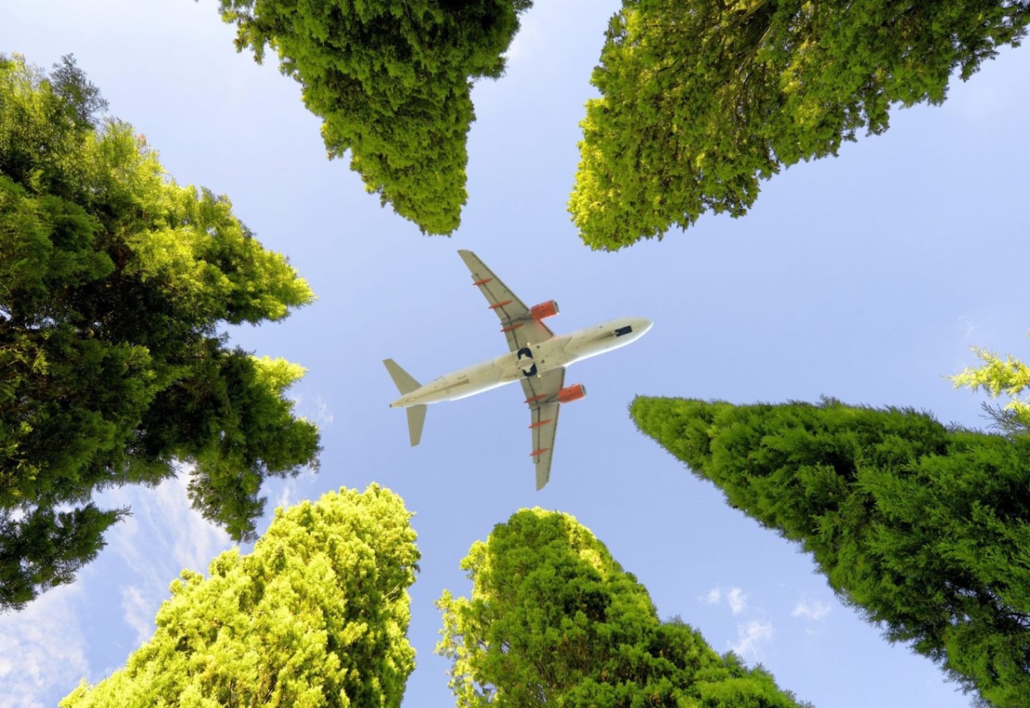 What Does Eco-Friendly Air Travel Look Like? Find Out Here