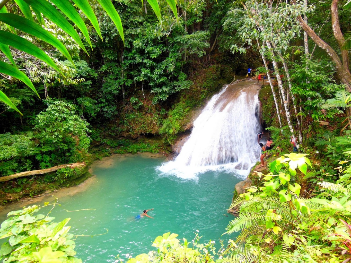 Check Out These Travel Tips To Visit Jamaica