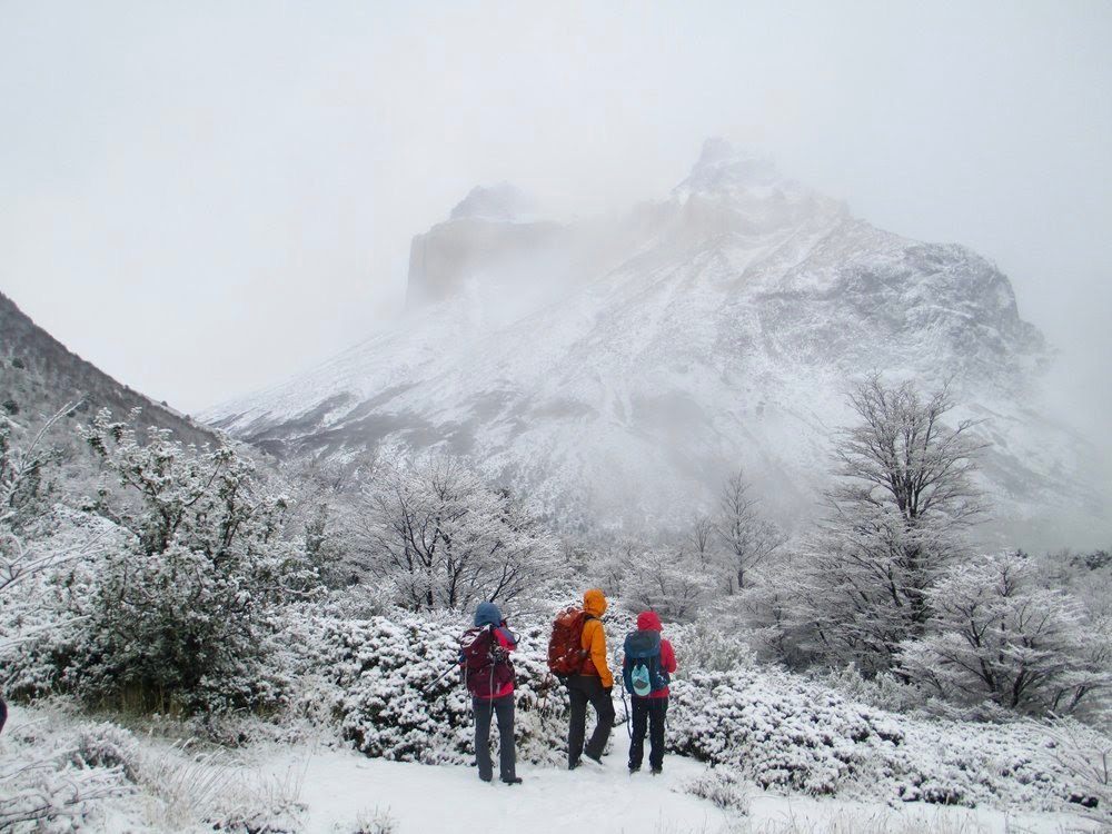 How to Plan the Ultimate Trip to Patagonia