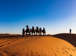 A Traveler’s Guide To The Sahara Desert