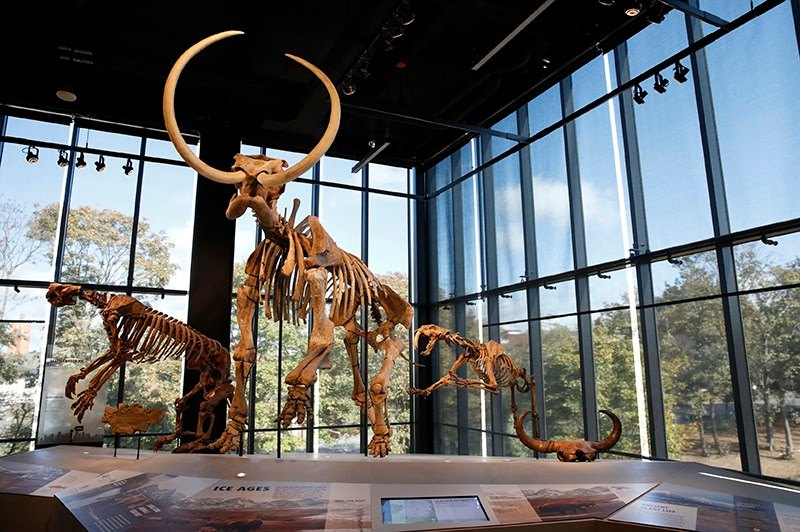 The Best Museums to Visit in Seattle, Washington