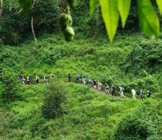 Ecotourism Trips: What They Are and Why to Take One