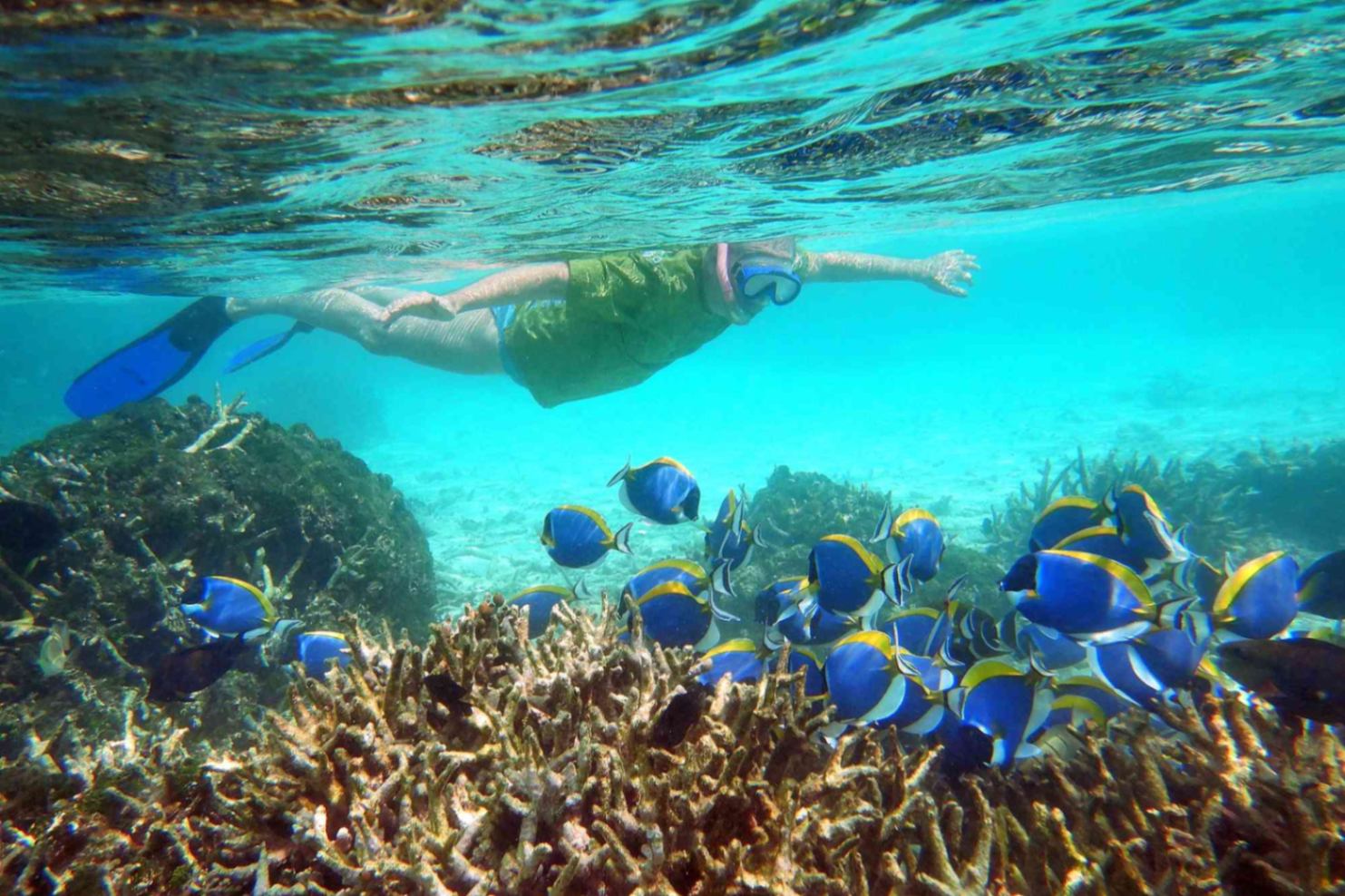 These Are the World's 10 Best Places to Try Snorkeling