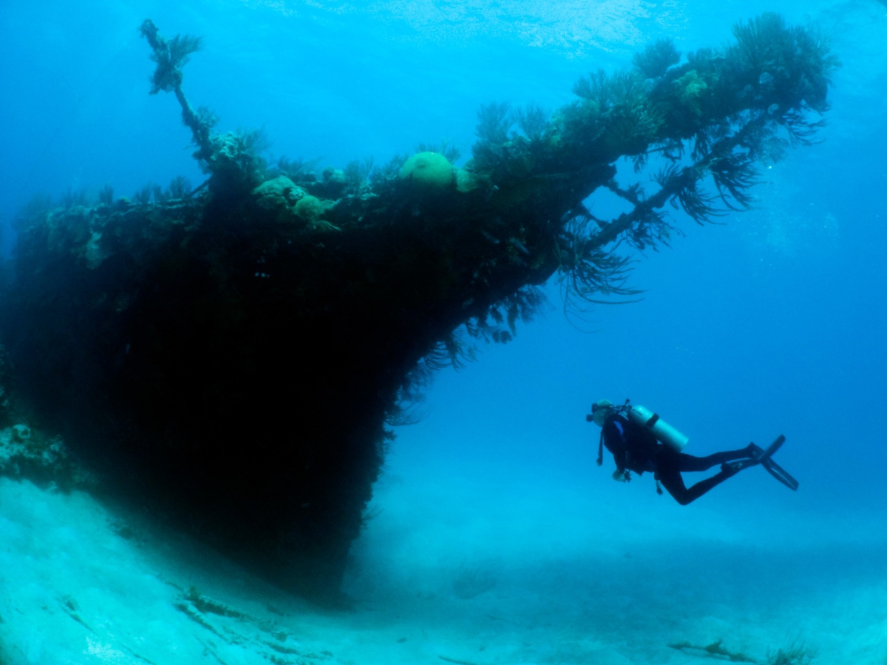 These Are the World's 10 Best Places to Try Snorkeling