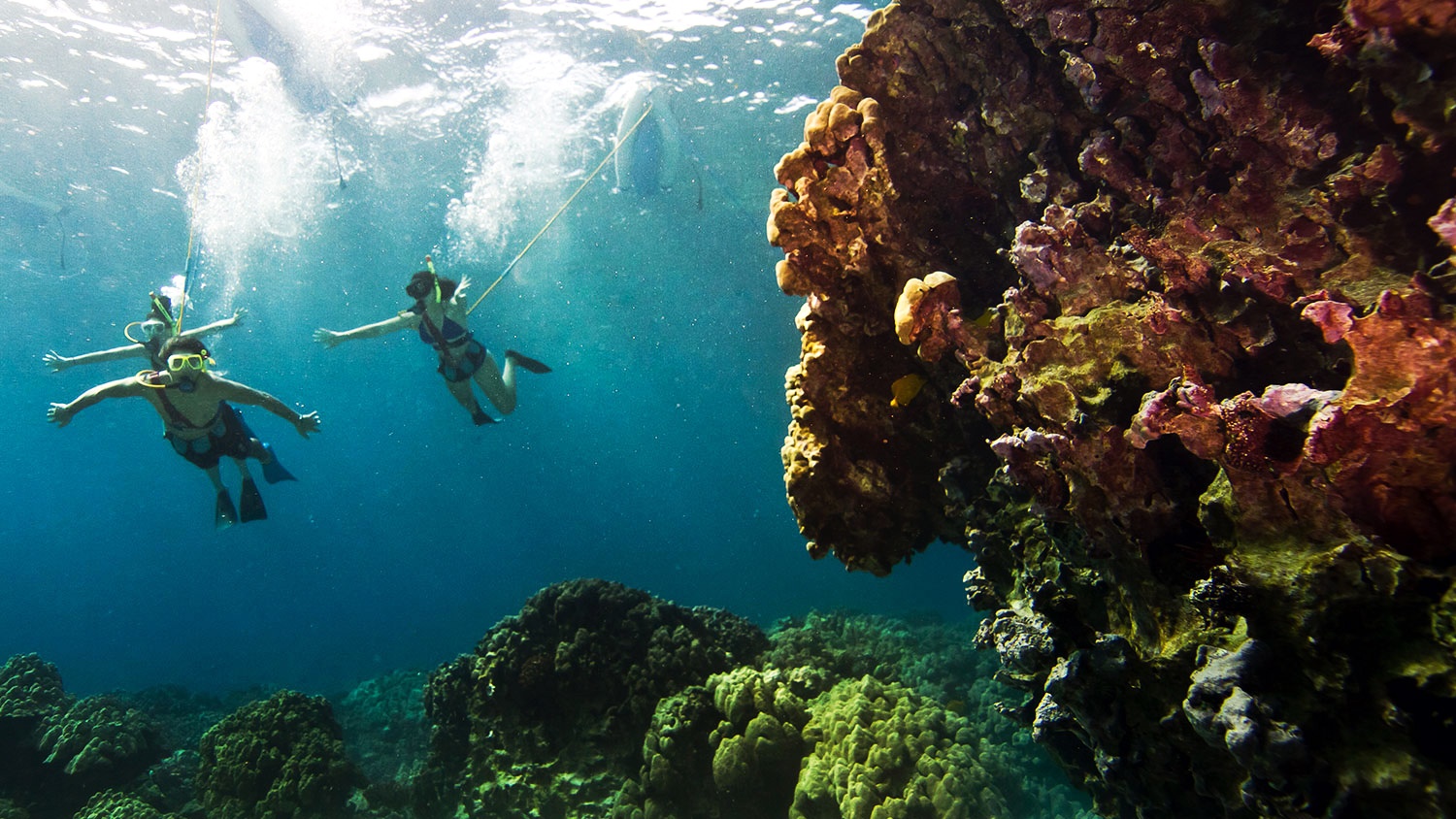 These Are the World's 10 Best Places to Try Snorkeling