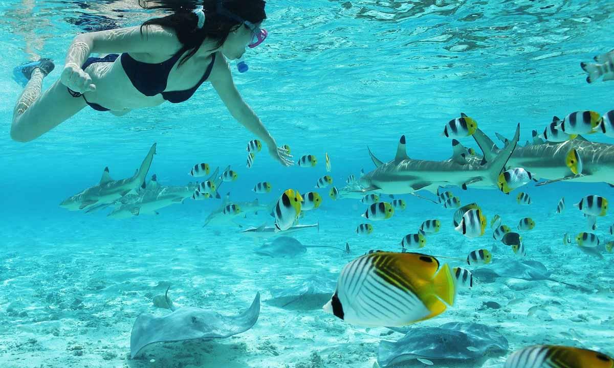 These Are the World's 10 Best Places to Try Snorkeling