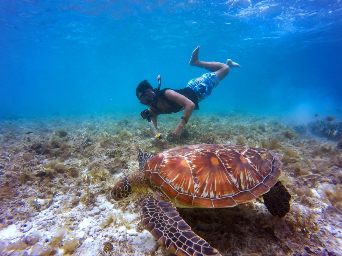 These Are the World's 10 Best Places to Try Snorkeling