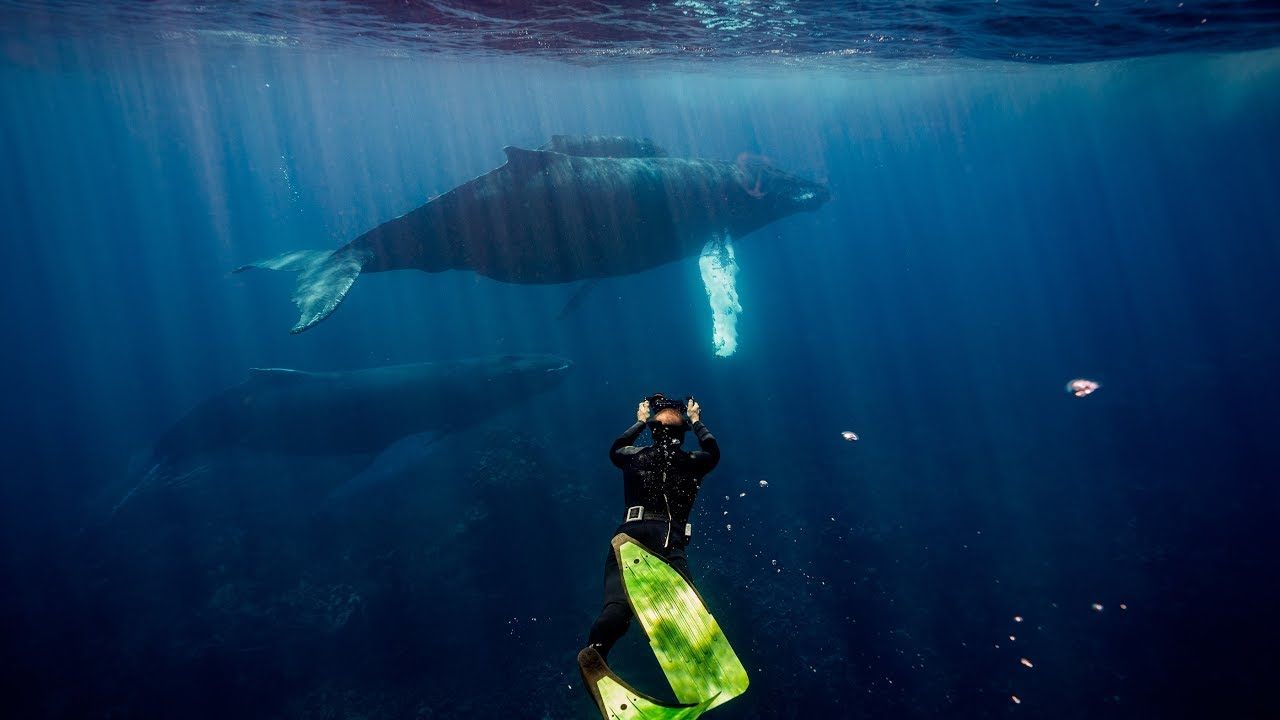 These Are the World's 10 Best Places to Try Snorkeling