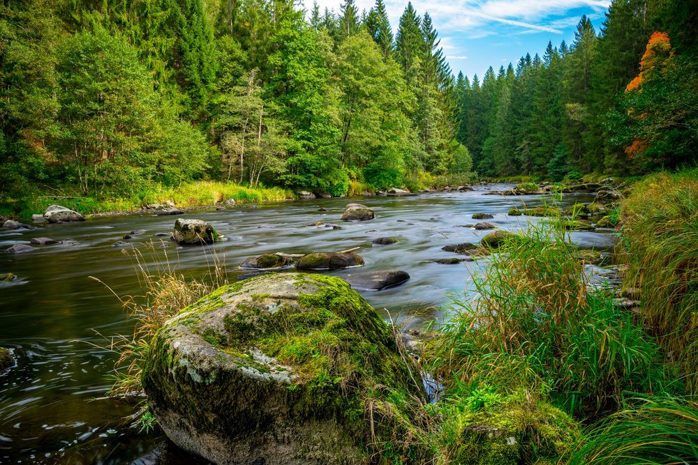 Discover These Beautiful National Parks in Germany