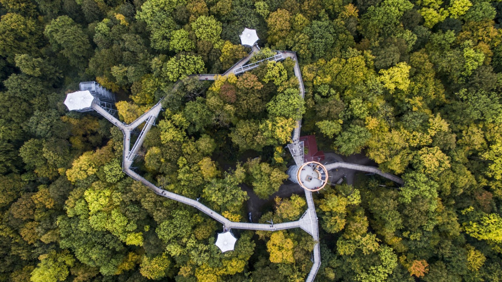 Discover These Beautiful National Parks in Germany