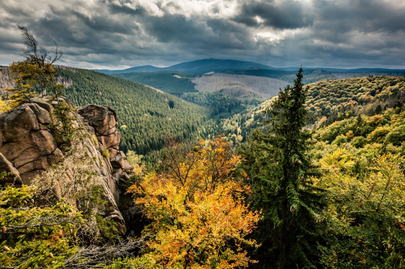 Discover These Beautiful National Parks in Germany