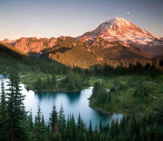 Destacados del Estado: Las maravillas de la naturaleza salvaje de Washington
